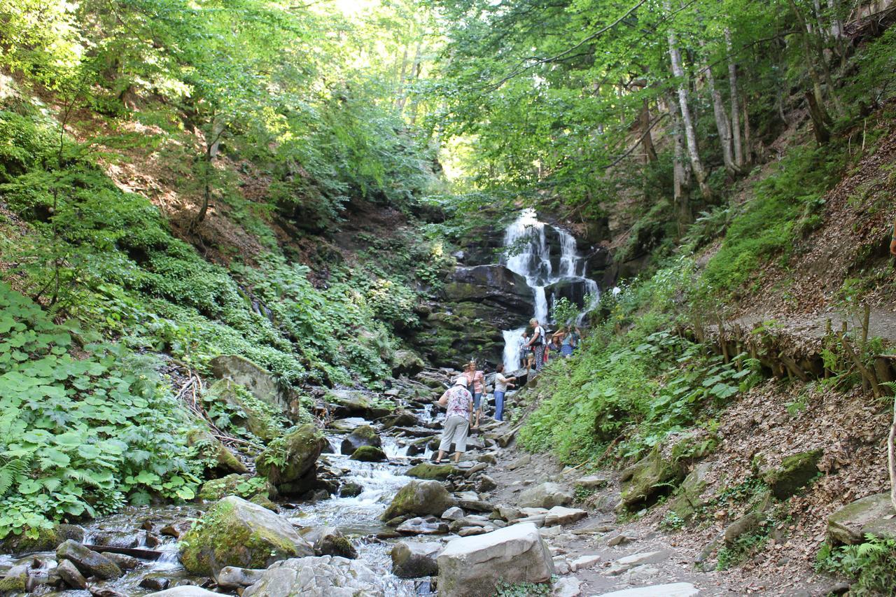 Goryanyn Otel Pilipets Dış mekan fotoğraf